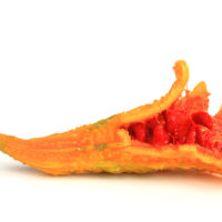 Bittermelonenextrakt