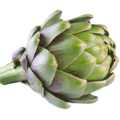Artischocken (Cynara Scolymus)