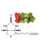 Biotin