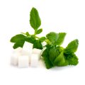 Stevia