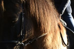 Berufstätige Reiter im Winter