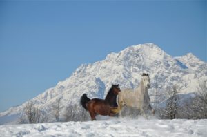 Fit durch den Winter in jedem Alter