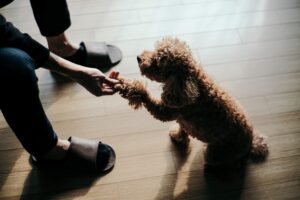 Let’s Play – Indoor Aktivitäten