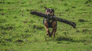 Let’s Play – Outdoor Spiele