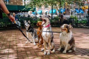Let’s Walk – Stadtspaziergang