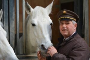 Der Stallmeister über windempfindliche Pferde