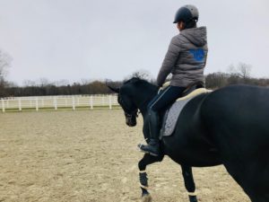Alleinsein mit dem Pferd