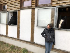 Wunschliste für das gute Pferdeleben