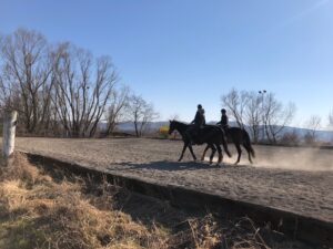 Sahara- und sonstiger Staub in der Lunge